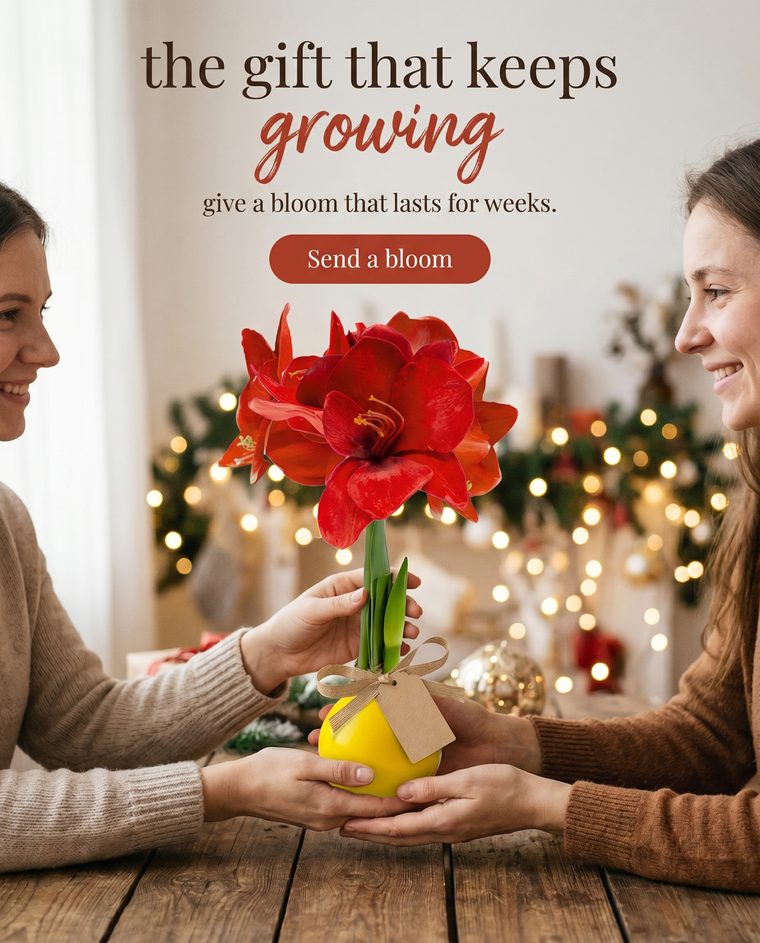 Waxed Bulb — The gift that keeps growing